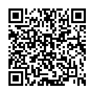 华国人对掌权者的敬畏之情是几千年传承下來的二维码生成