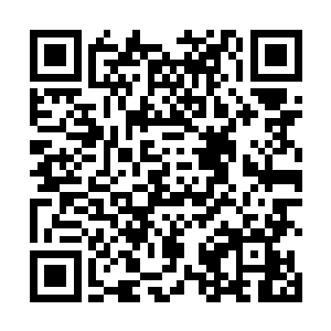 华夏中医考察团成员被瑞典卫生部安排进了皇家大酒店二维码生成