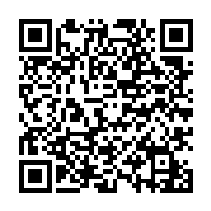 华夏九之所以现在便炼化这两件伪仙器和六件极品法宝二维码生成