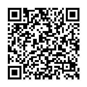 华夏九仔细的研究分析过海圣一族身体特点之后二维码生成