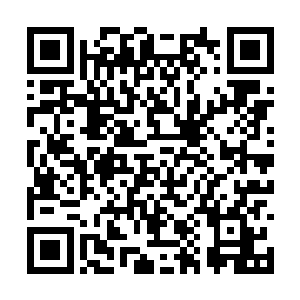 华夏九刚刚炼制的这枚五行离火丹已经达到了上品二维码生成