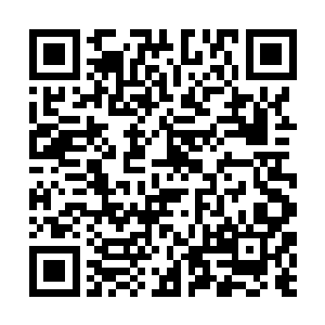 华夏九可没有忘记那十万枚灵石中蕴含着庞大的灵力二维码生成