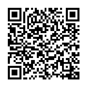 华夏九和孔雀妖圣几乎同时最先从眼前梦幻般的奇景中回过神来二维码生成