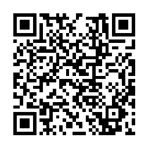 华夏九心想这丫头对自己分明就没有抱有多大信心二维码生成