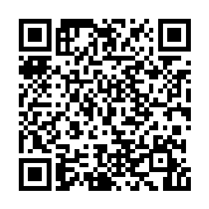 华夏九此时实在不想和任何人或者生物进行战斗二维码生成