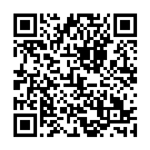 华夏九脑海之中将化丹之法和三种秘法回忆了一番二维码生成