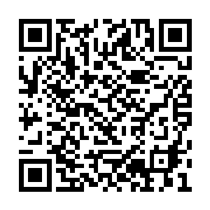 华夏九脑海之中有紫幽派上一任脉主血魔的记忆二维码生成