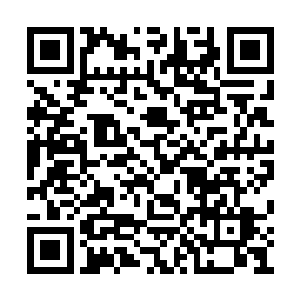 华夏九蓝色火墙终于被血尊的血色能量侵蚀一空二维码生成