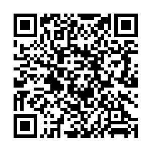 华夏九近一年来的所行所为不光是提升了紫幽派的势力二维码生成