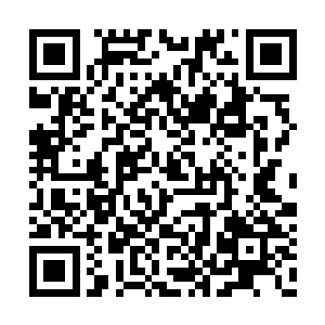 华夏九隐隐感觉自己如今真元修为已经难以压制二维码生成