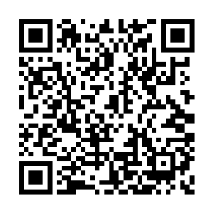华夏军固然对自己这边给予了许多的礼遇和优待二维码生成