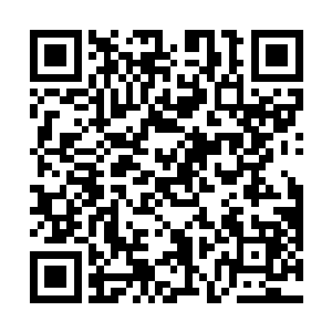 华夏军的众人正被淹没在许多绿林高手花俏的包围当中二维码生成