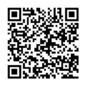 华夏国这边在上报名单时把他和苏子的名子是分开写的二维码生成