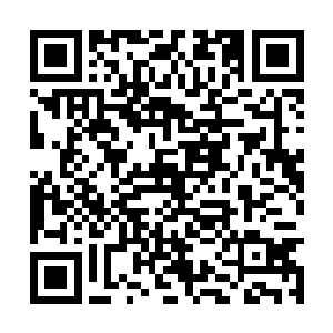 华夏娱乐圈写真集能买个一百万册就非常的逆天了二维码生成