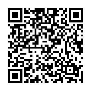 华夏民族可是曾经一直屹立在地球巅峰的伟大民族二维码生成