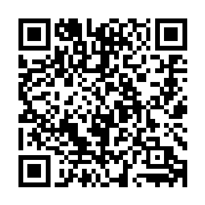 华夏许多地方政府就已经被自发组织起来的民众围得水泄不通二维码生成