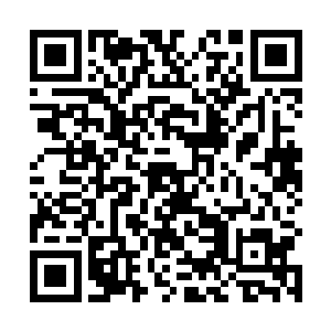 华夏院戏剧专业的那些教授虽然都具备很高的专业素养二维码生成