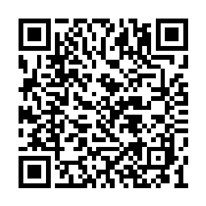 华夏革命军大军展开了对袁世凯大军的最后围攻二维码生成