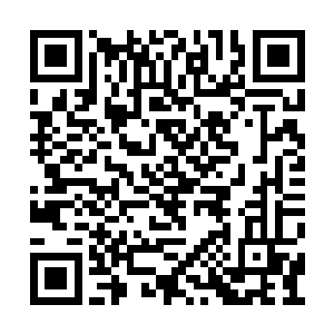 华少凭借着一己之力直接挡住了对方大军的进攻二维码生成