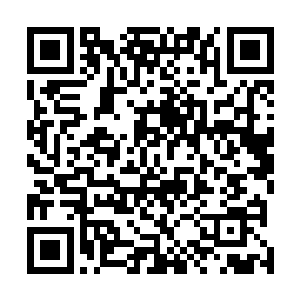 华纳兄弟和公爵工作室只依靠与各个厂商合作的周边收入二维码生成