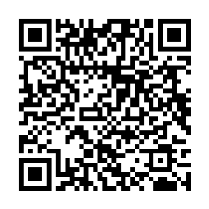 华纳兄弟和公爵工作室可谓是这个夏天最大的赢家二维码生成