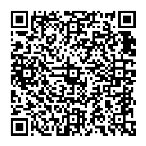 华纳兄弟就在与北美最大的录像带连锁商百事达商谈录像带基本转让费和租赁销售抽成的事宜二维码生成