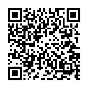 华羽先是大量地对许紫烟的制符术的基础进行严格的考核二维码生成