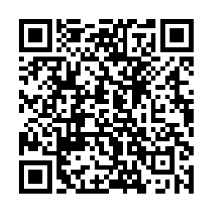 华能集团自身还不断地向世界各地派出潜伏的勘探员二维码生成