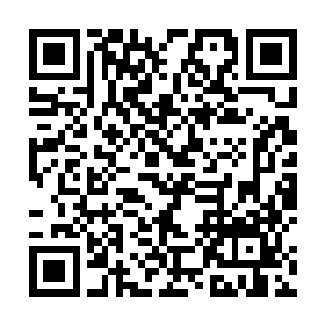 华阳宗和神机宗一边竭尽全力地抵挡着一边高声喝骂道二维码生成