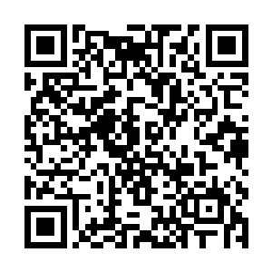 协作模式是算器和传统电子计算机的一个明显的区别二维码生成