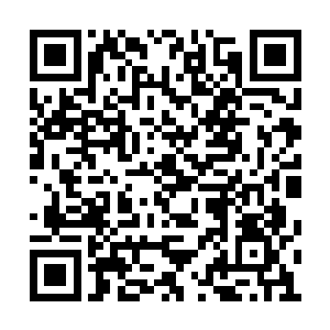 协约国的主要干涉力量英法意军队在摩尔曼斯克二维码生成