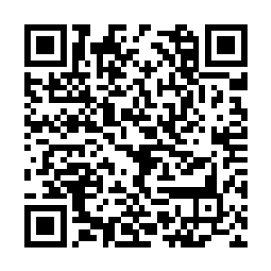 卑职一定让宫雨菲和李环堂死的对上对下都能交代二维码生成