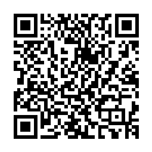 卑职也是在鉴宝大会才知那一对双胞胎姐妹是欧阳君使的女儿二维码生成