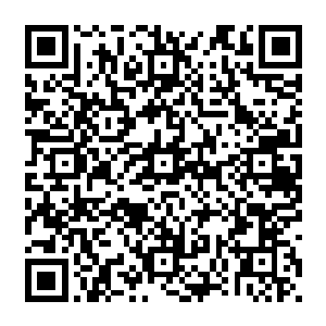 卑职觉得……确实有……一定的可能……卑职这几天其实也在暗中追查此事的线索……二维码生成
