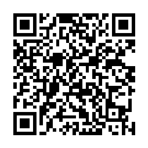 卓妈妈正吩咐着人将廊下昨儿个被风雨吹进来的落叶扫去二维码生成