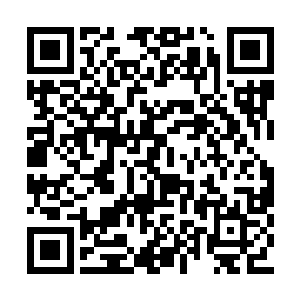 单兵素质比之原来一波樱花杀手有过之而无不及二维码生成