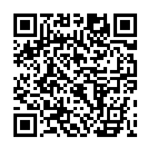 单凭姜次辅老狐狸一般的心机就能让辅国公一家苦不堪言二维码生成
