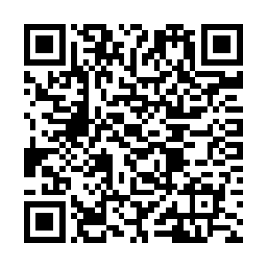 单凭那风君座连翻云覆雨楼的白公子也要认可的实力二维码生成