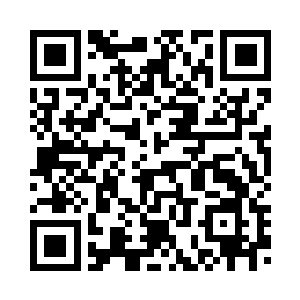 单单是一个肩线的设计就有数十种二维码生成