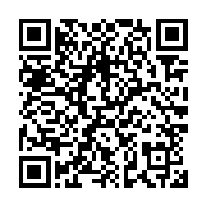 单单是一条地脉恐怕爆炸的威力就不会下于九劫散仙的自爆二维码生成