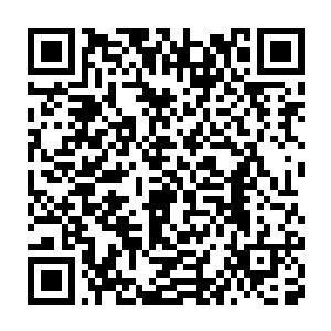 单单是刚才杨戬出手的两招就让他心中升起了一种难以抵抗的感觉二维码生成