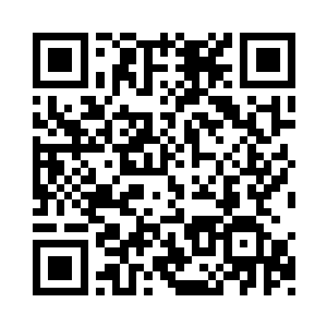 单单是强大的肉身就能够碾压虚尊境界的存在二维码生成