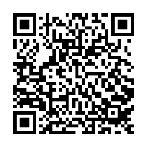 单单是怨灵身上散发出来的那种气息就足以令修炼者心神失守二维码生成