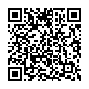 单单是这股恐怖的气势就让他有一种崩溃的感觉二维码生成