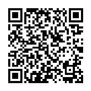 单单是这股恐怖的气息根本就不是一般的天劫能够拥有的二维码生成
