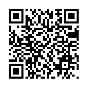 单单租船就几乎顶的上正常人的一月薪银二维码生成