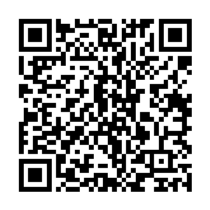 单只或者一队的冰虫只是一些不足为道的小怪物的话二维码生成