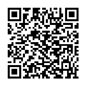 单打独斗马文勉强可以凭借兑水了的圣水打一打二维码生成