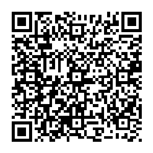 单是在父母眼里的优秀就已经到达一个令人吃惊的地步――譬如秦倚天本身能够拿到一百分二维码生成