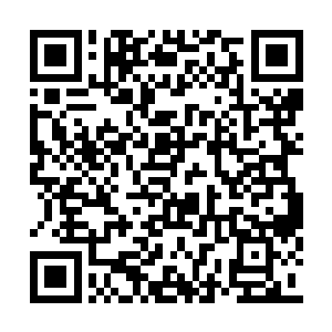 单是她们前面见到过的几波大道统来此接引天才二维码生成